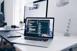 Software development